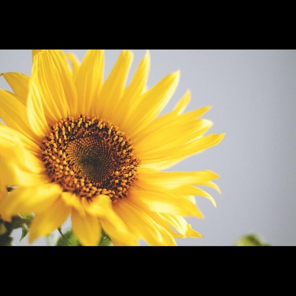 Meet your Posher, Tonia - Picture 1 of 1